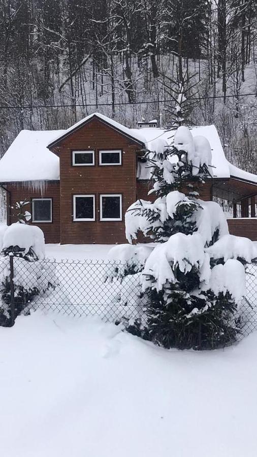Bieszczadzki Klin Bklin Villa ชิสนา ภายนอก รูปภาพ